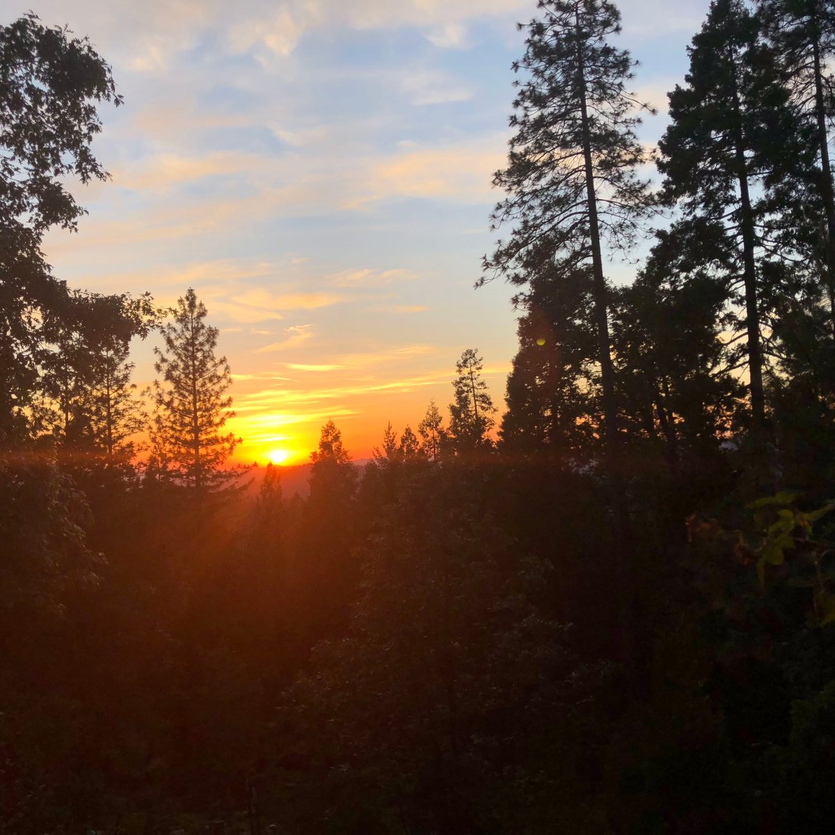 Thoughts About “Hologram”