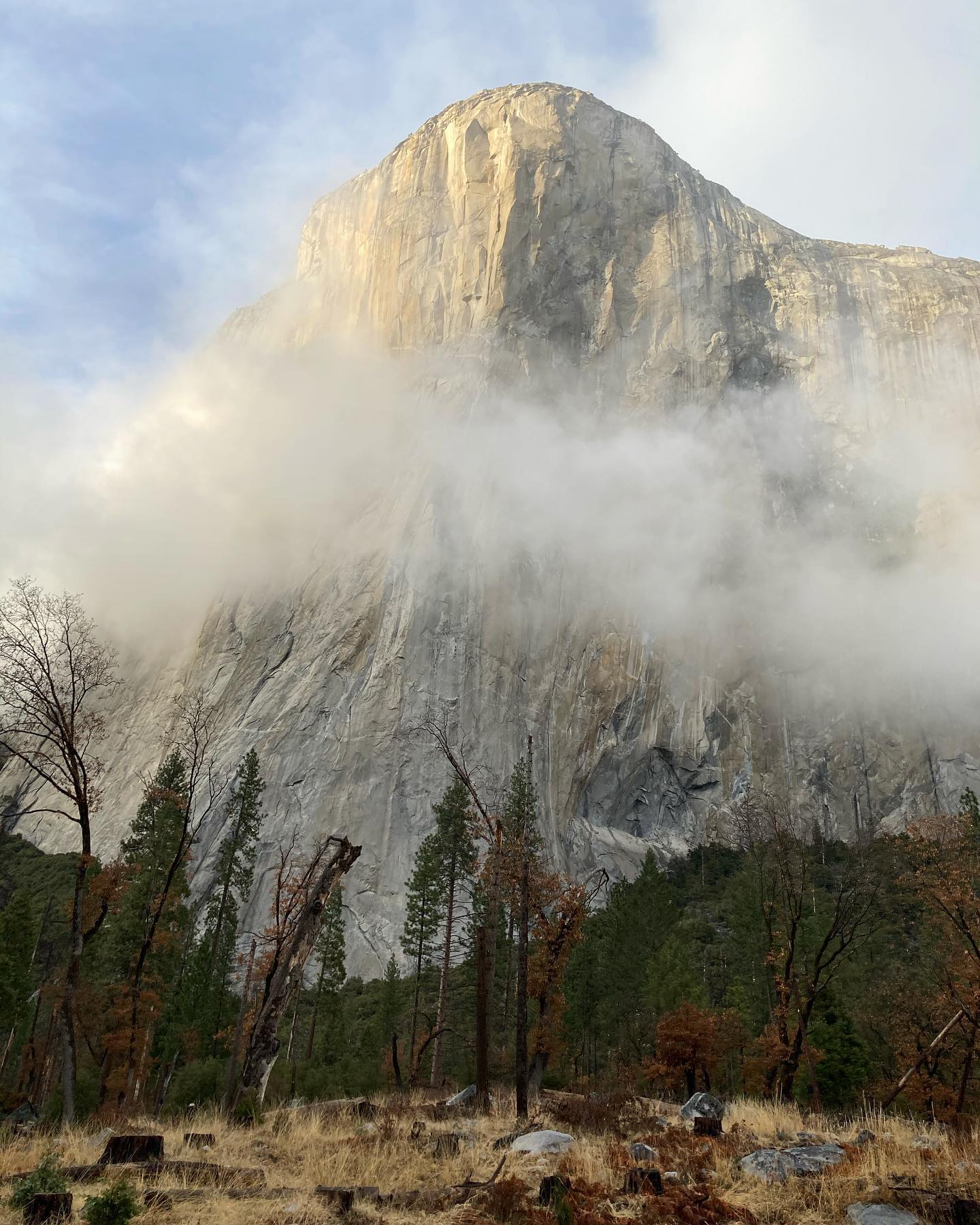 Scaling the Cliff: Submitting to Literary Journals for the First Time ...