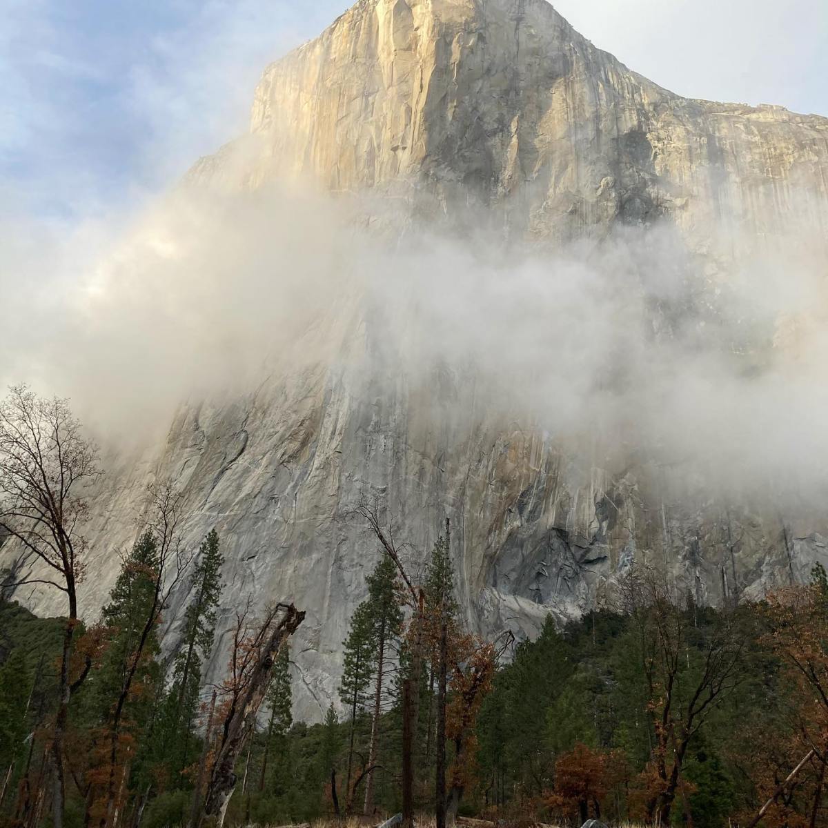 Scaling the Cliff: Submitting to Literary Journals for the First&nbsp;Time